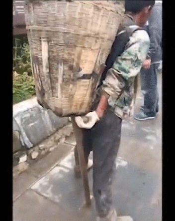 “为什么要喊奥利给？”爆火背后，我看见了成