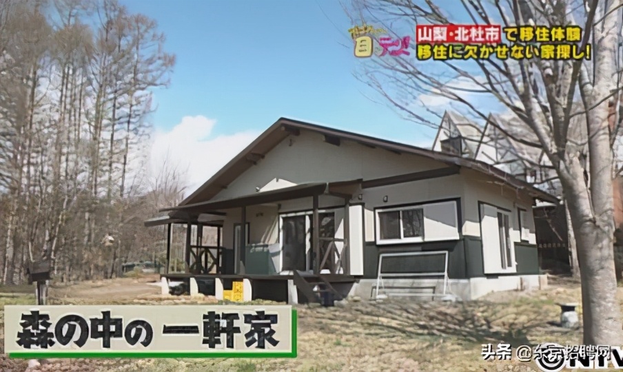 日本 空屋 泛滥 免费送都没人要 不限国籍出售你会买吗 国际 爆资讯新媒体平台