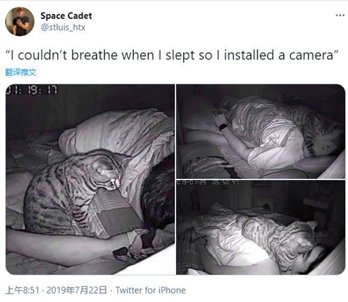 女孩睡著後被貓打了4個小時，但小貓咪可能沒什麽壞心思