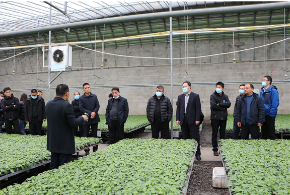 临沂市举办对接长三角蔬菜基地标准化生产技术培训班