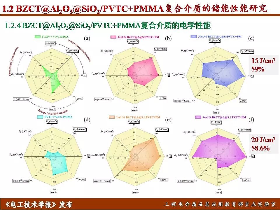 哈尔滨理工大学迟庆国：储能型聚合物基绝缘介质的效率与密度优化