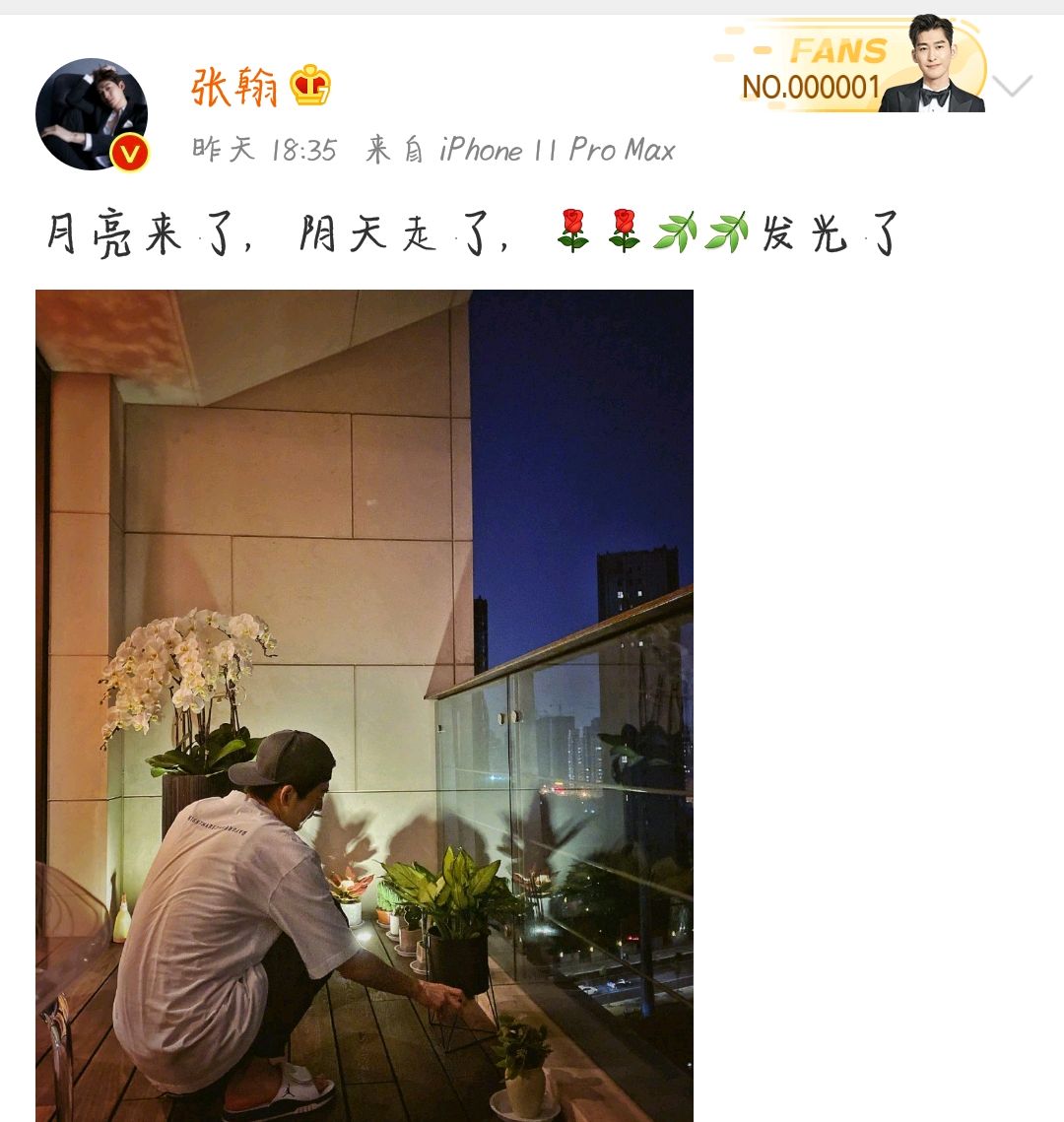 张翰发文太文艺，若不是看到配图，还真看不懂他想表达什么
