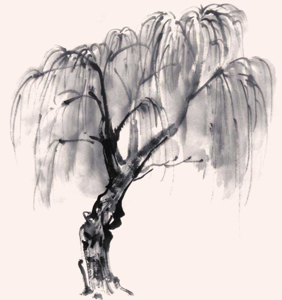 分步骤图解教你画3种常见树画法简单易学