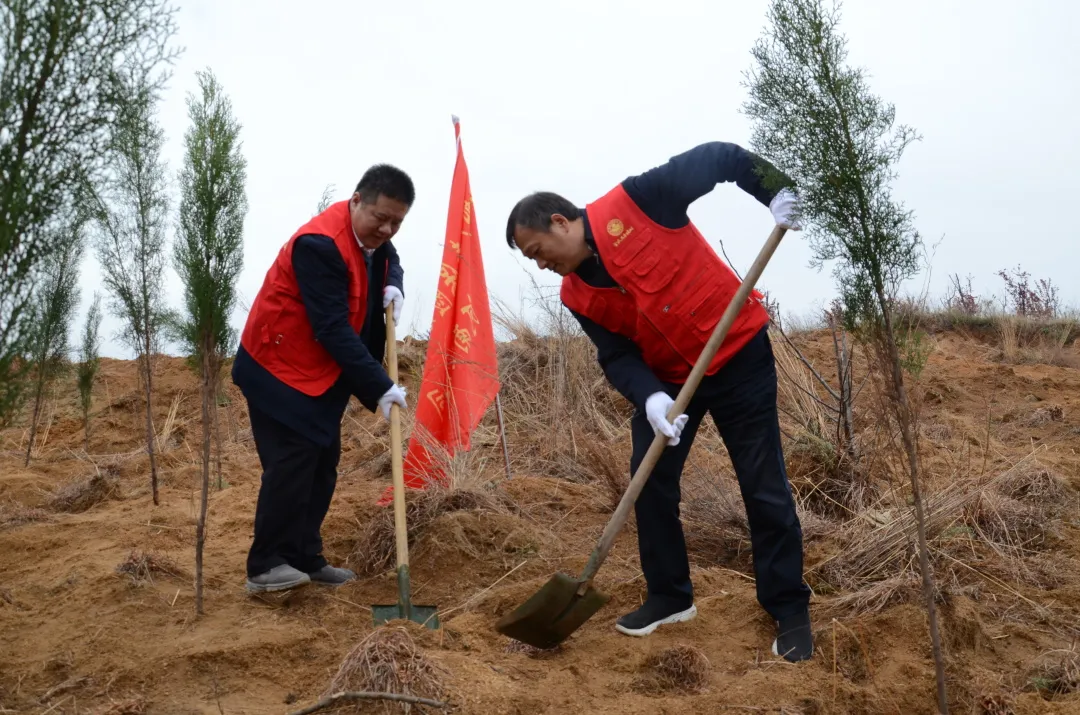 邮保联合开展植树联建活动