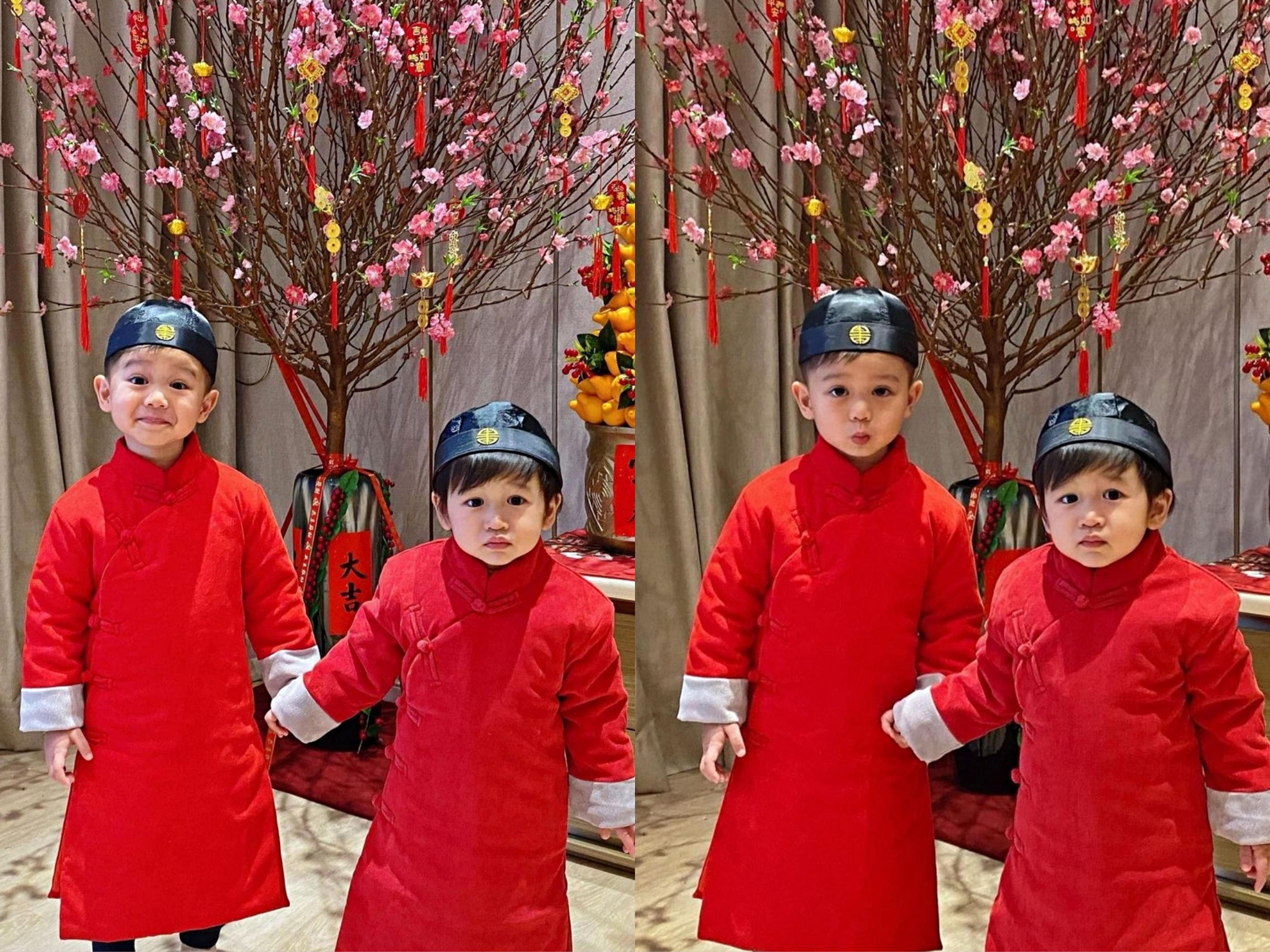 胡杏兒丈夫持家有道，攜倆兒子穿唐裝超喜慶，家種搖錢樹年味十足