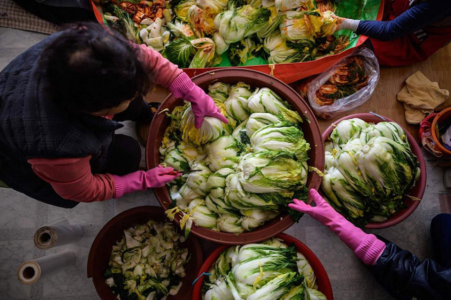 韓國的鑽石白菜價令人望而卻步，多重因素下的農業危機