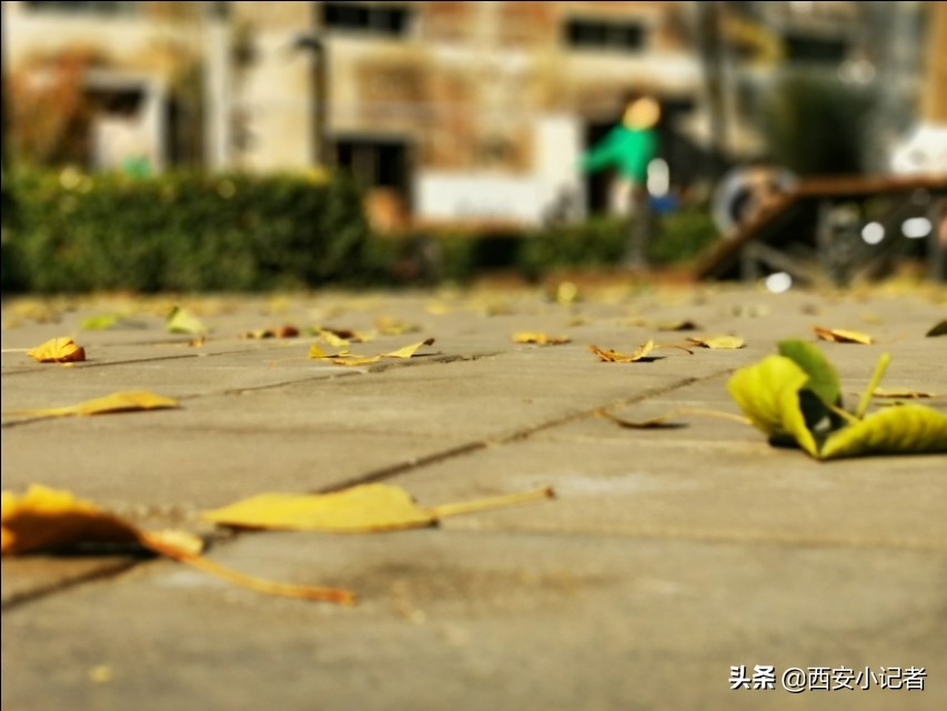 西安小记者青少年摄影活动