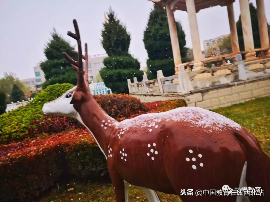 甘肃初雪|甘肃18所高校初学雪景大PK,快来看看有你的母校没?