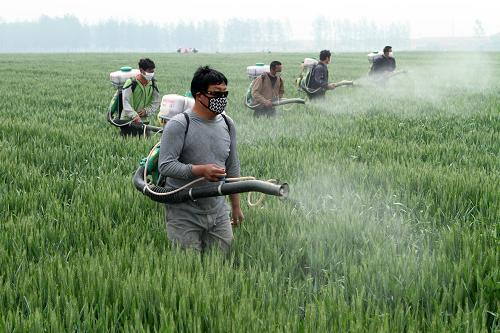 長期服用六味地黃丸，有沒有副作用？ 中成藥有哪些�不好�？