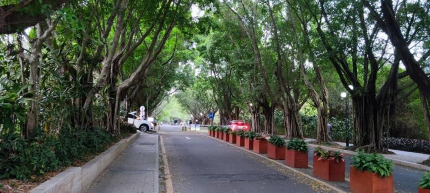 此心安處是吾鄉——深圳不隻有拚搏也有生活