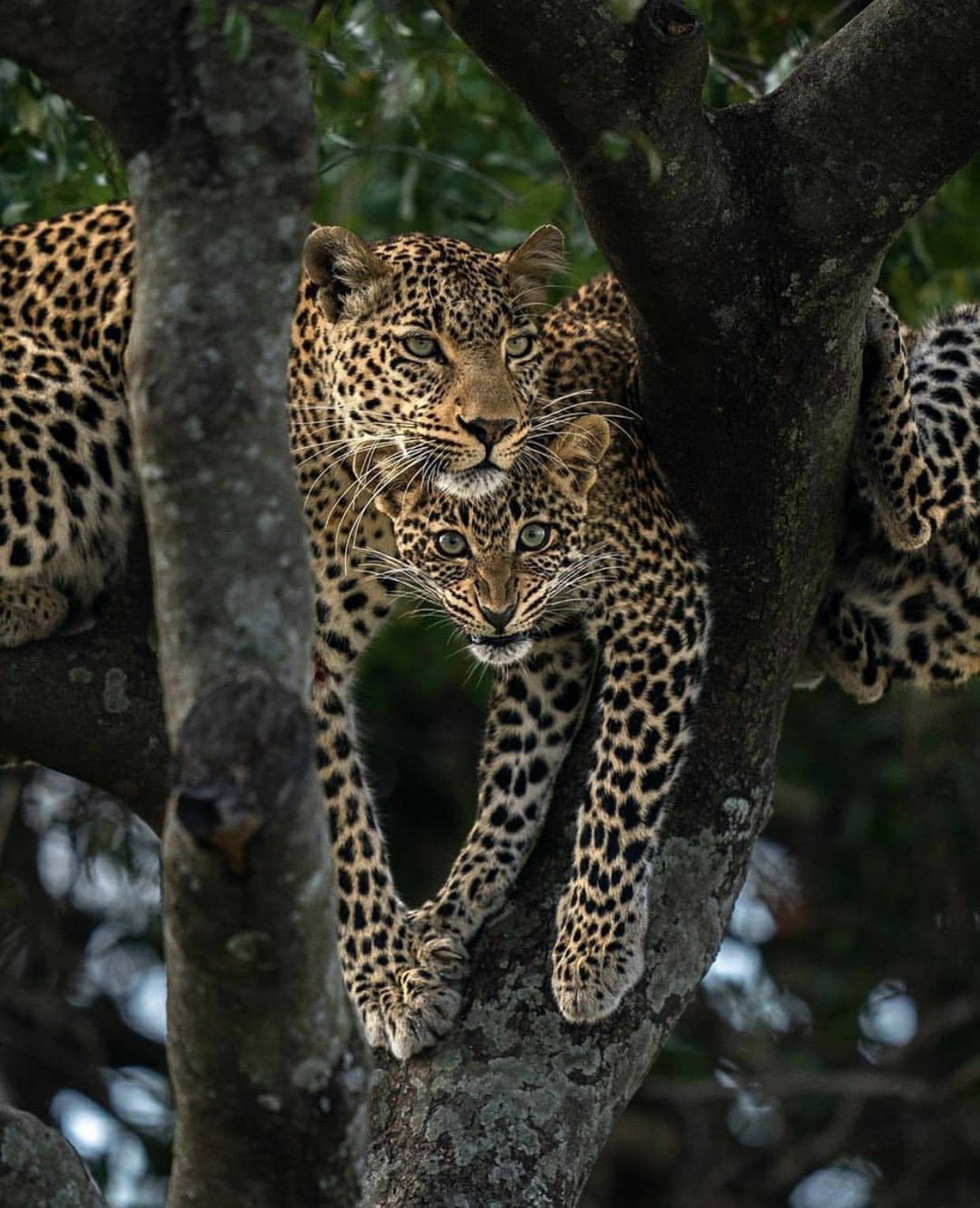 從這些照片裏，感受到了生命的溫度