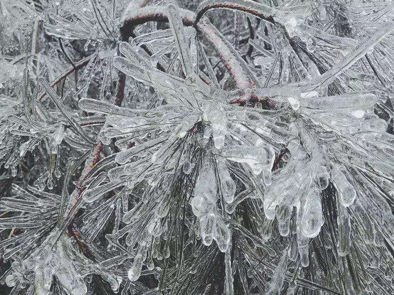 不用去看故宫的雪！钱塘江畔的冰雪霸屏了……美翻了整个江南！