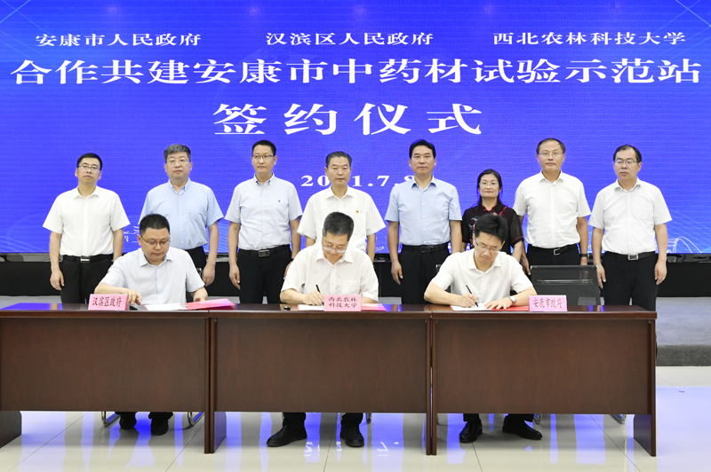 西北農(nóng)林科技大學(xué)首個中藥材試驗示范站在陜西安康建立
