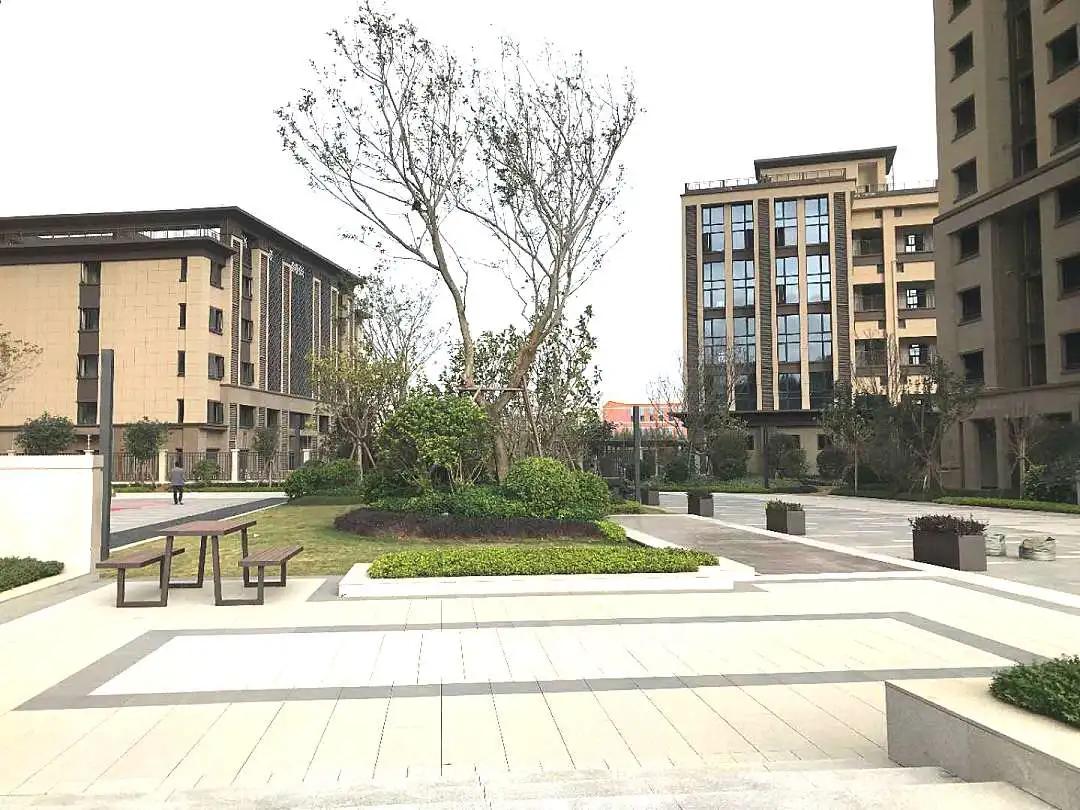 家期已至，静候君启