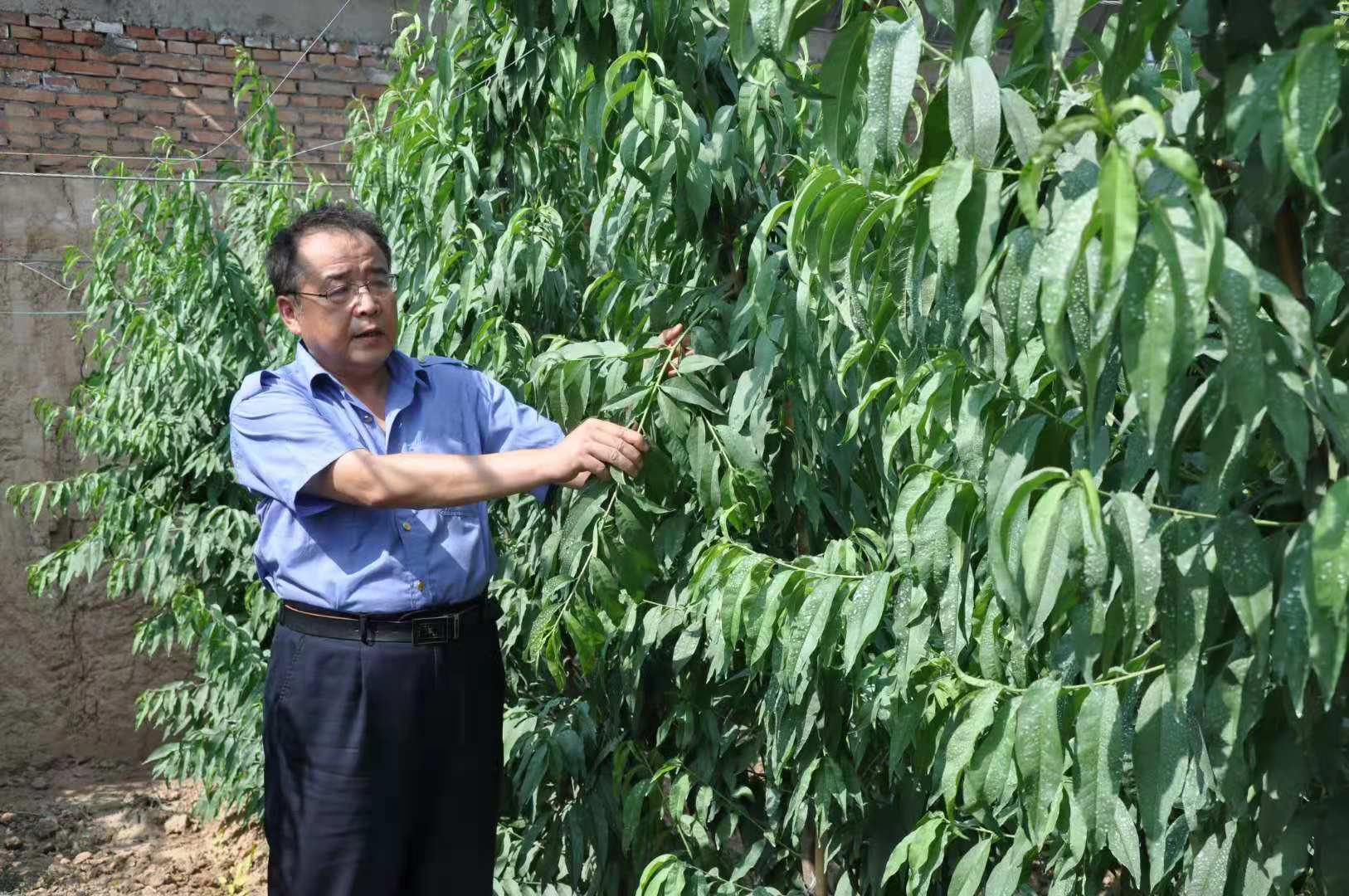 记铜川市耀州区老科协理事王增龙