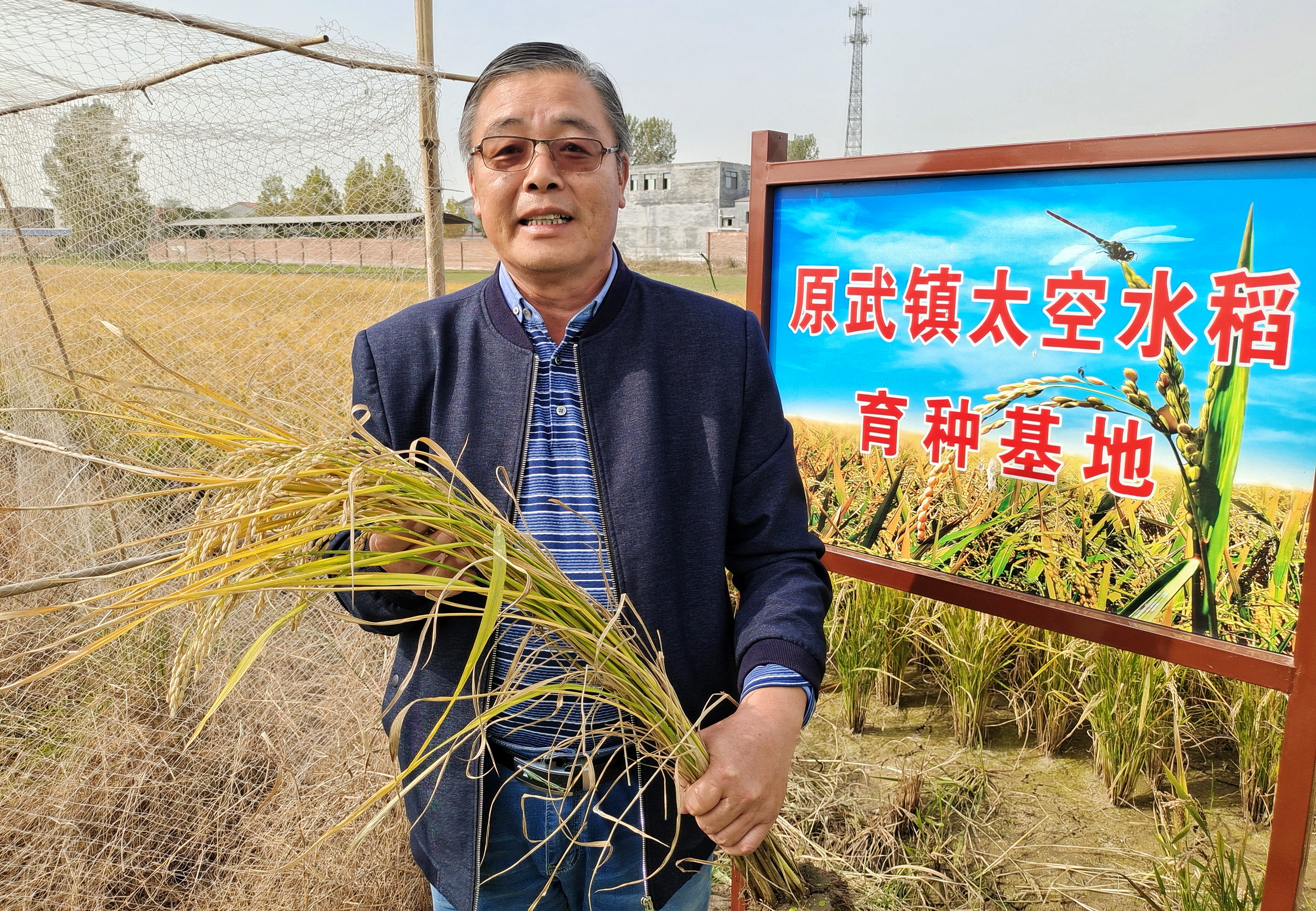 稻米|“稻”路越走越宽 新乡平原示范区第三届稻米文化节开幕