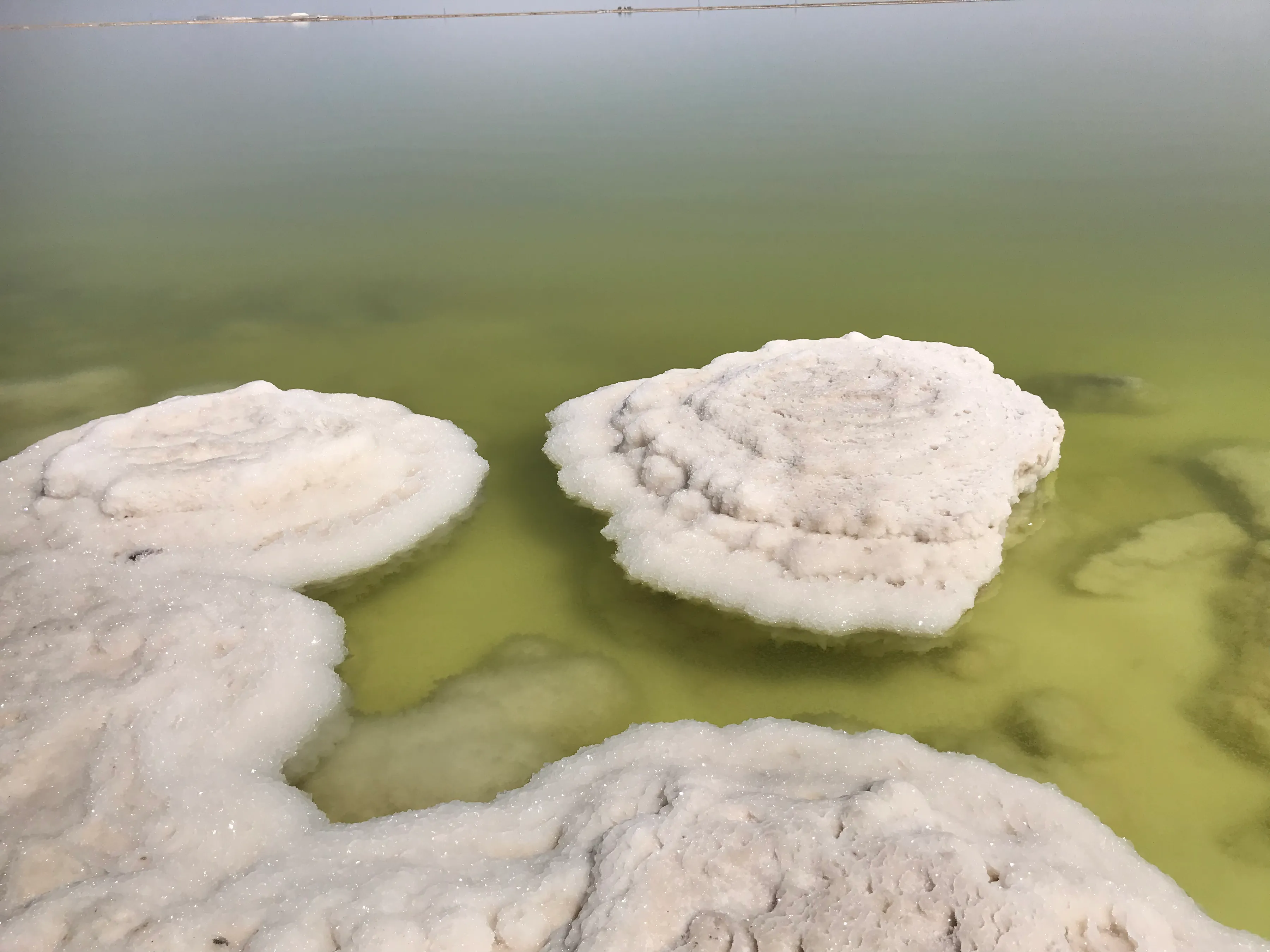 Colorful Qaidam (6) Golmud