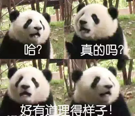 租借大熊猫每年每只100万美元，租期10年，最后，