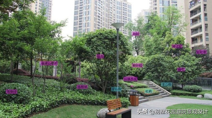 別墅庭院常用植物分享，附照片及名字標(biāo)注（珍藏版）