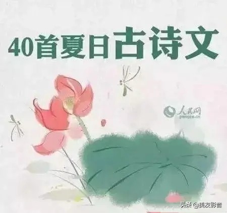 【古诗词】40首夏日古诗文：帘动微风起，满院蔷薇香-第1张图片-诗句网