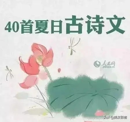 【古诗词】40首夏日古诗文：帘动微风起，满院蔷薇香-第1张图片-非凡网