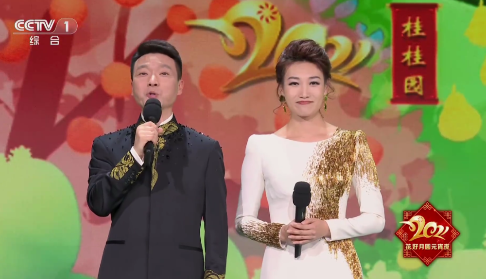 央视才女龙洋走下春晚，缺席元宵晚会，与中国