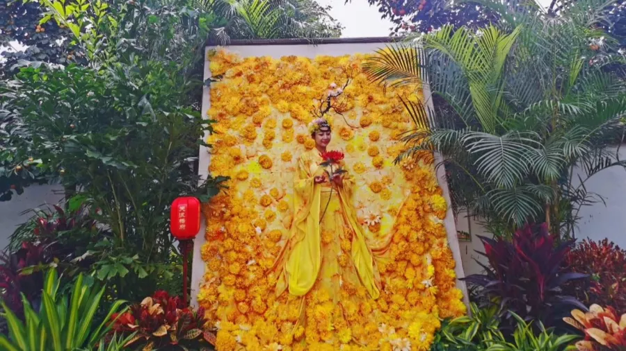 中国开封第38届菊花文化节开幕