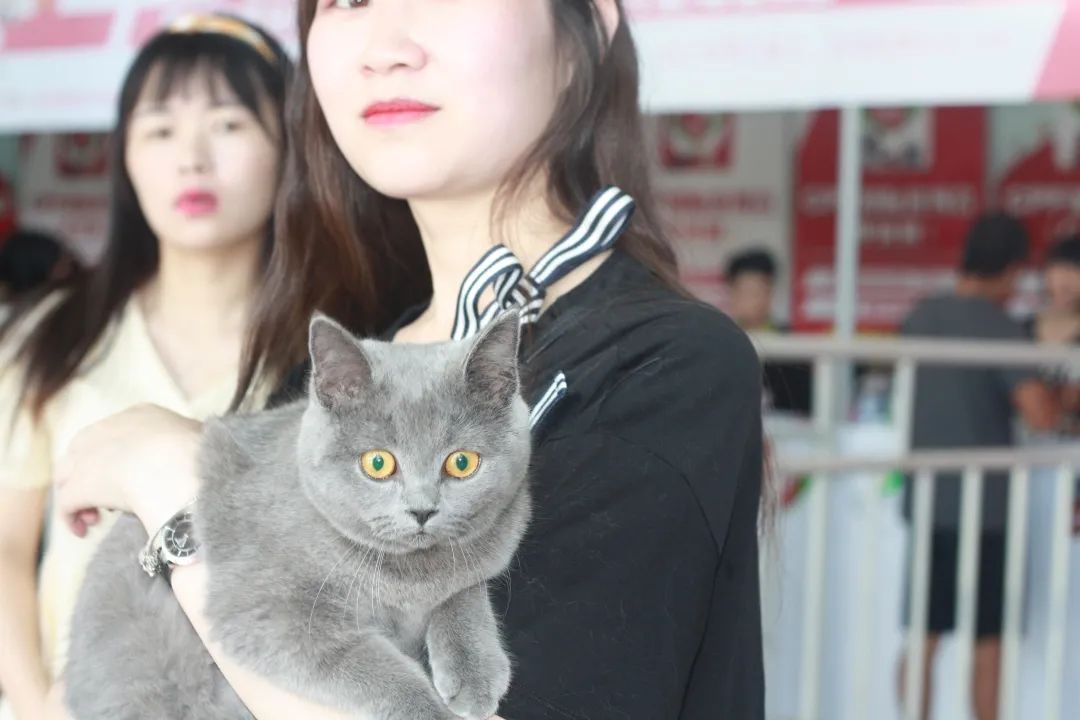 迎接华中地区高光时刻，9月18日CPF武汉宠物展带你走进宠力新时代