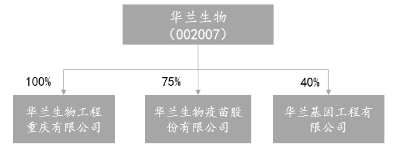 涨幅跟恒瑞医药一样猛，华兰生物，手持3大极好业务的核心资产