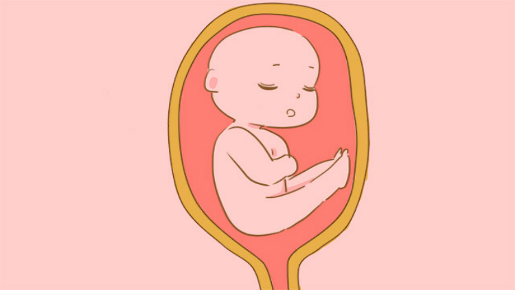 正确数胎动的方法，每个孕妈都需要学，关键时刻能“救命”