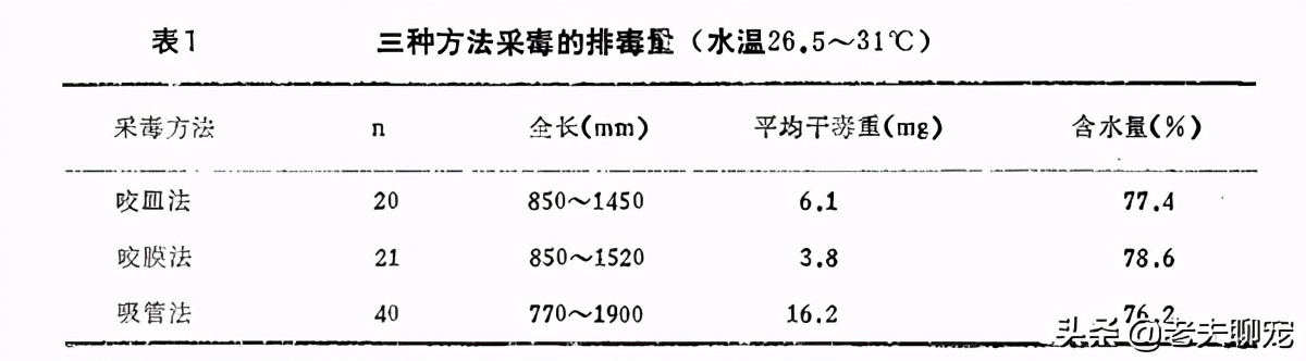青环海蛇：比眼镜王蛇还毒20倍，营养价值却极高，真的敢吃吗？