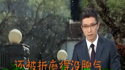 柳絮讓人苦不堪言，沒想到還是美食，在吃貨麵前為何依然猖狂？