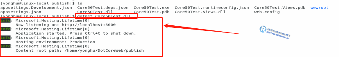 NET Core部署到linux最全解决方案，常规篇