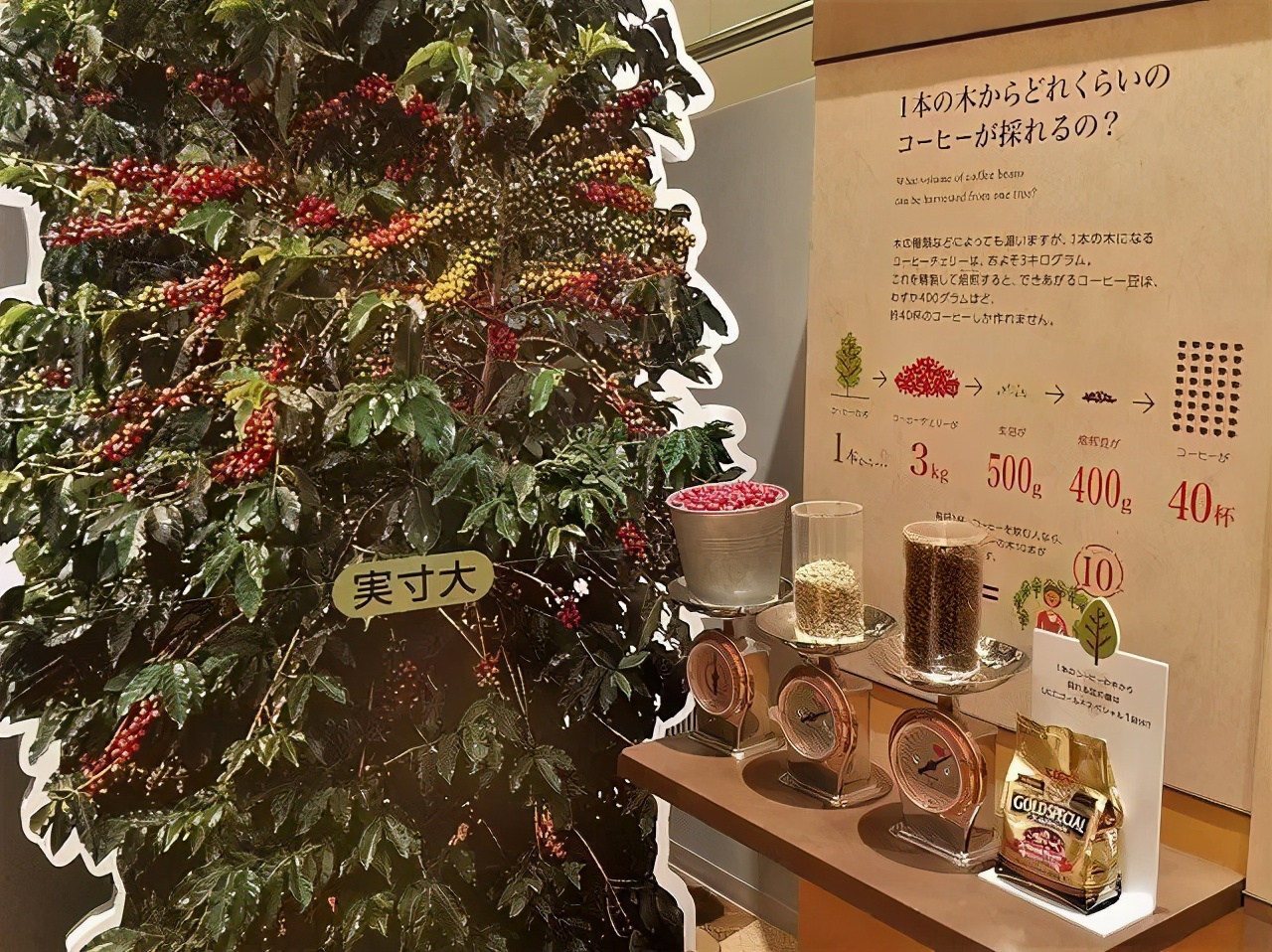 日本美食工业旅游：精彩纷呈，体验丰富