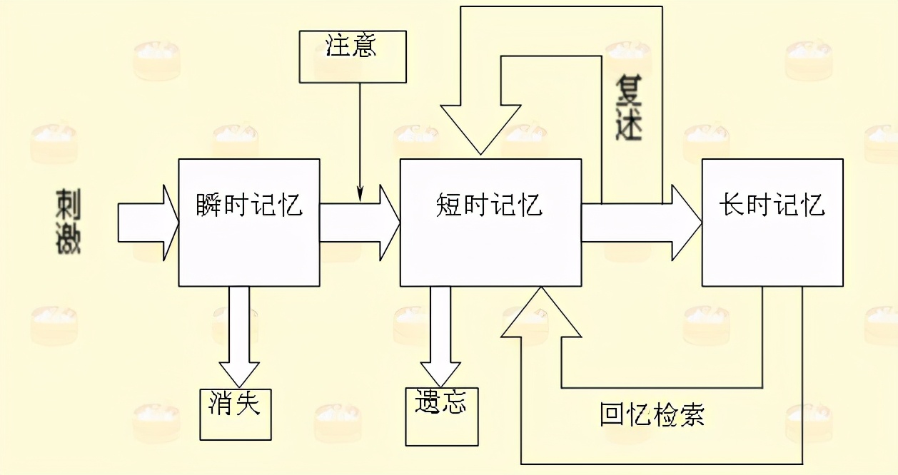你三四歲前的記憶去哪裏呢？人類的幼年記憶為什麽會丟失？