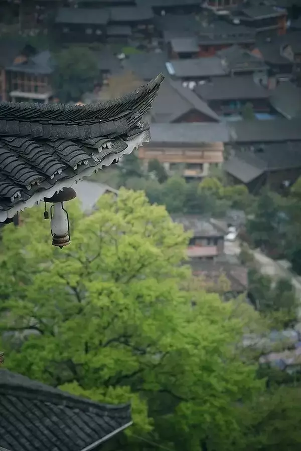 小满 | 欢喜自在，小得盈满