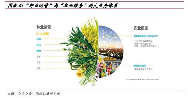 隆平高科专题研究：周期与成长共振，种业“航母”蓄势待航