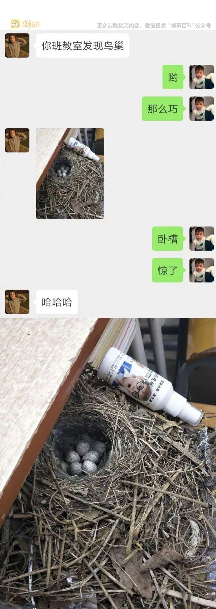 你哭着对我说，美女的照片都是骗人的  | 10大糗