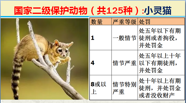 国家最新125类二级野生保护名录，图片及违法对应刑责