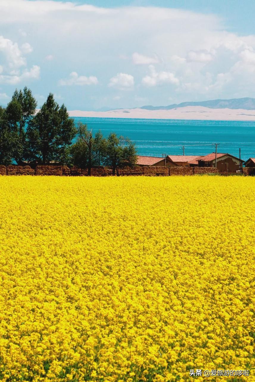 青海值得旅游的地方 青海湖最佳旅游月份(圖2)