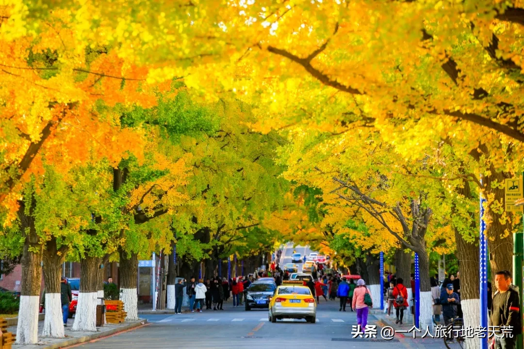 中国最大最美的边境城市，10月将迎来颜值巅峰