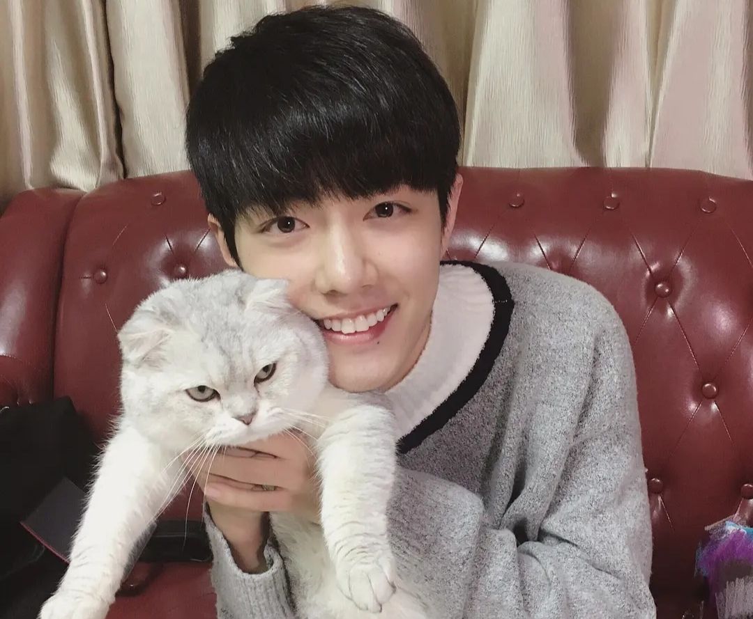 Xiao Zhan holds the baby in his arms, and is promoted as a daddy? - iMedia