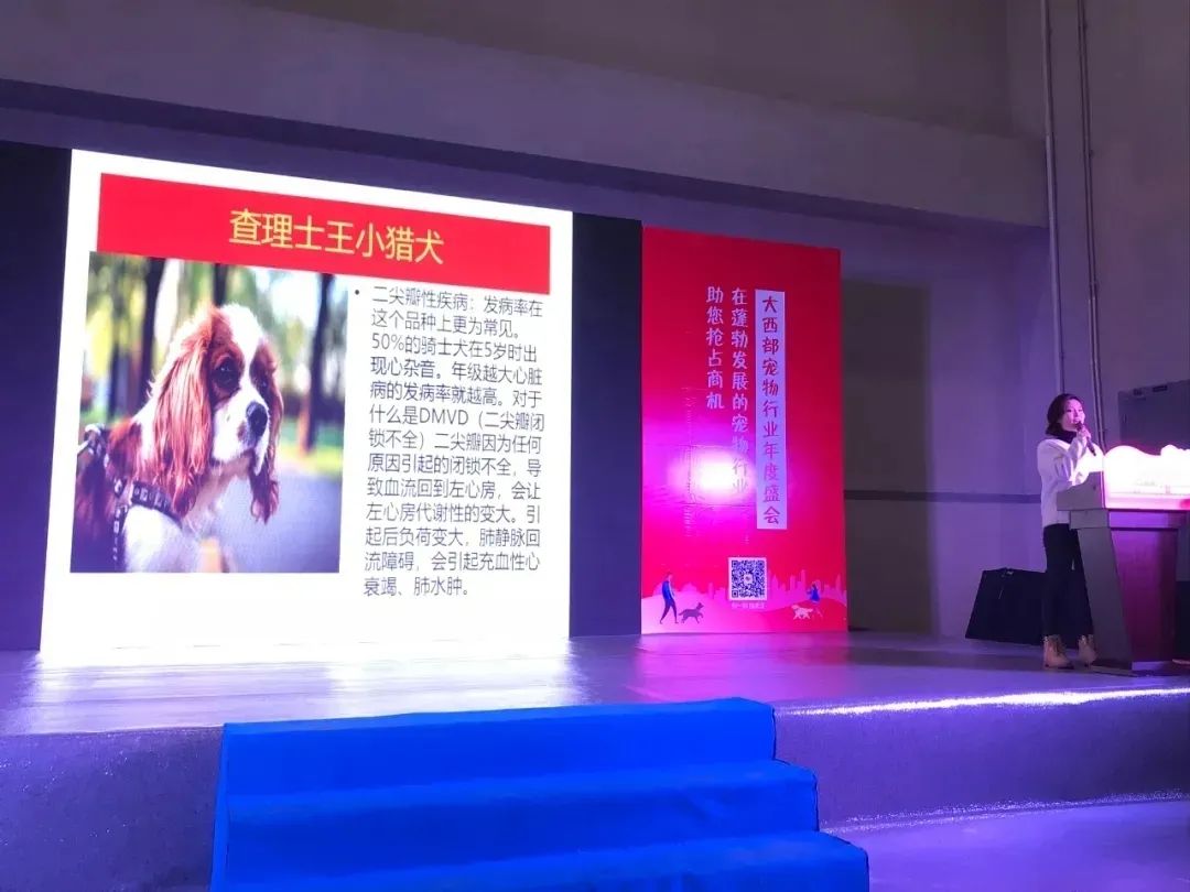 11月西部重庆展大放异彩!规模翻倍增长,开启西部宠物行业新纪元