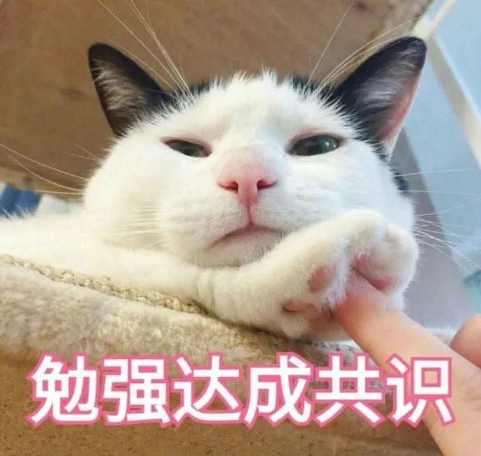 猫咪喜欢露天猫砂盆，还是封闭式猫砂盆？国外研究者给出了真相