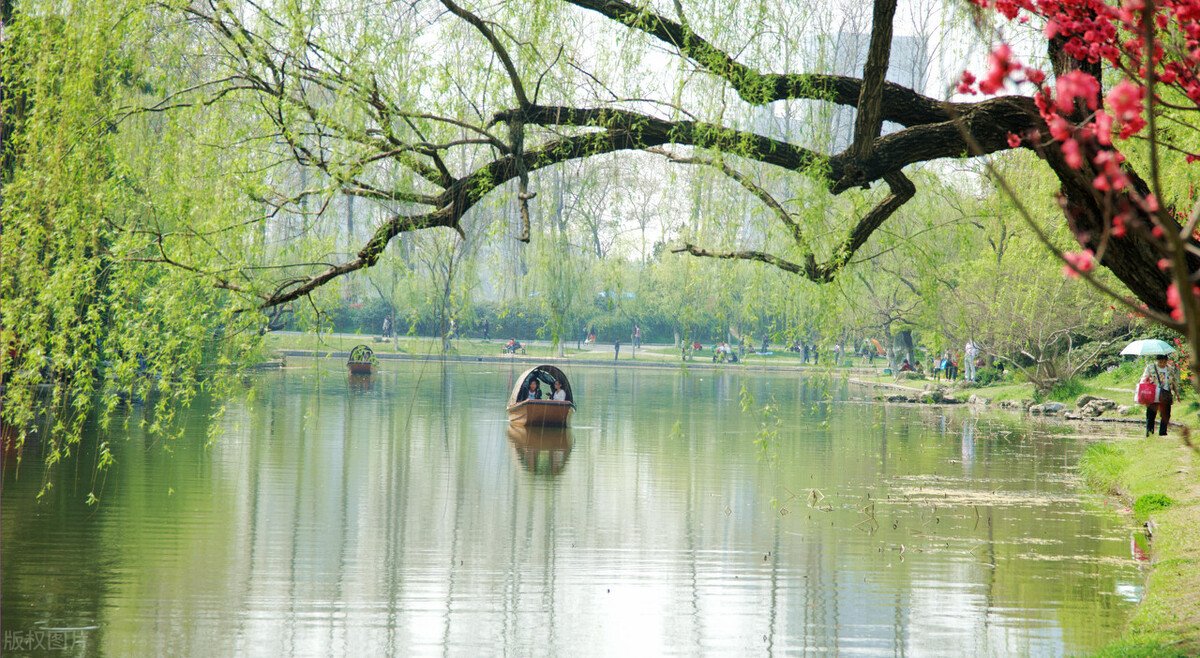 南京还能这么玩？这十大旅游景点没去等于白走一趟，快点收藏