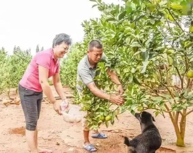 悄悄回家！全红婵晒照：家乡变化大准备恢复训练！陈艾森真心暖男