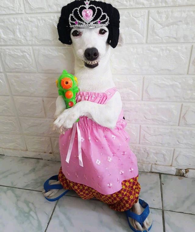 哄女孩开心的幽默笑话，个个奇趣横生