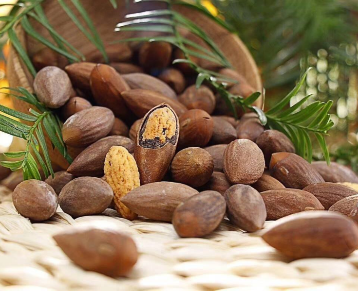 香榧产业共识通证，TGC即将登陆LOEX雷盾交易平台