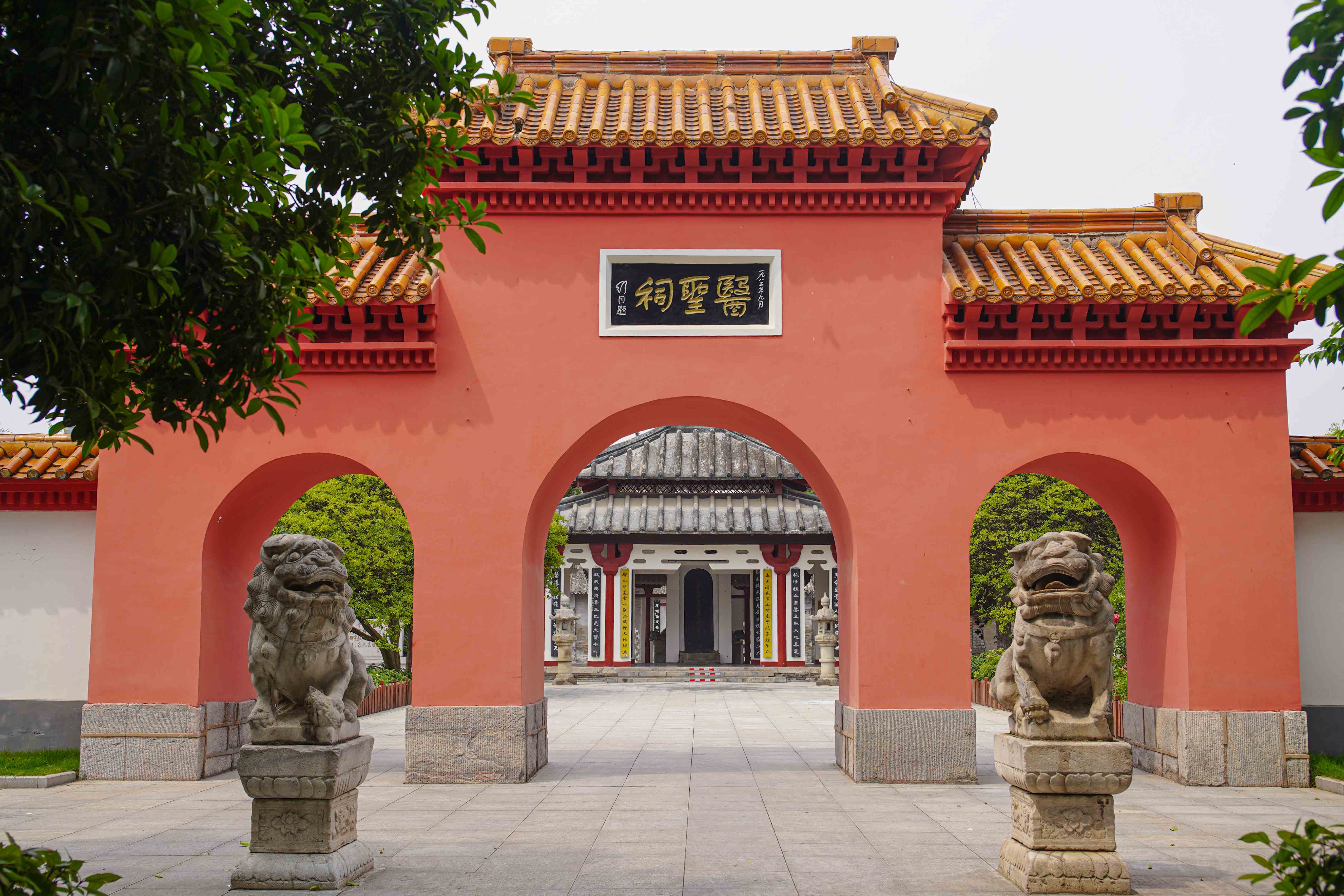 鉴往知来丨跟着总书记学历史：千秋医圣留给今天怎样的启示？