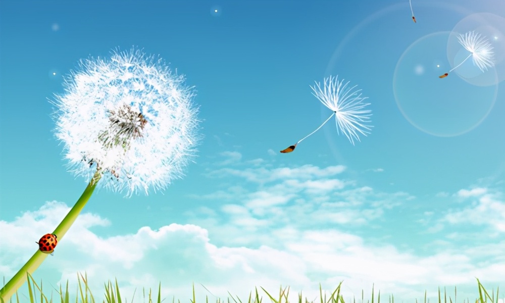 做自媒体一个月的真实经历，收入寥寥，却信心满满